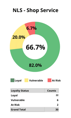 NLS -Shop Service Report